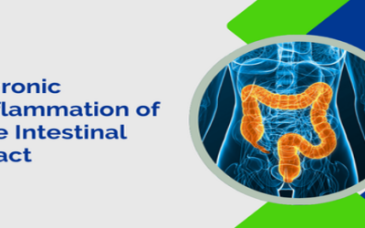 Chronic Inflammation of the Intestinal Tract: Causes, Symptoms and Long-Term Impact