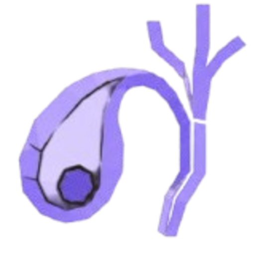Purple flexible catheter with a curled loop at the tip and branching arms represent a medical device used in vascular procedures