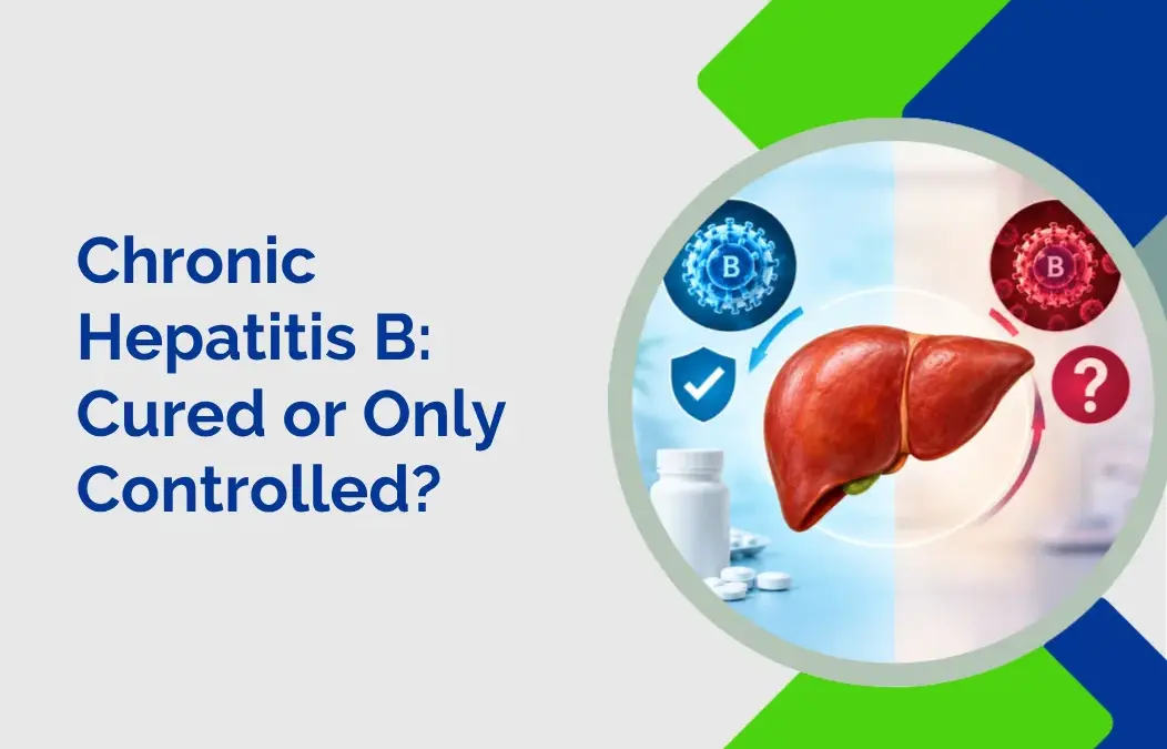 Chronic Hepatitis B Cured or Only Controlled