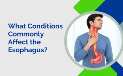 What Conditions Commonly Affect the Esophagus?