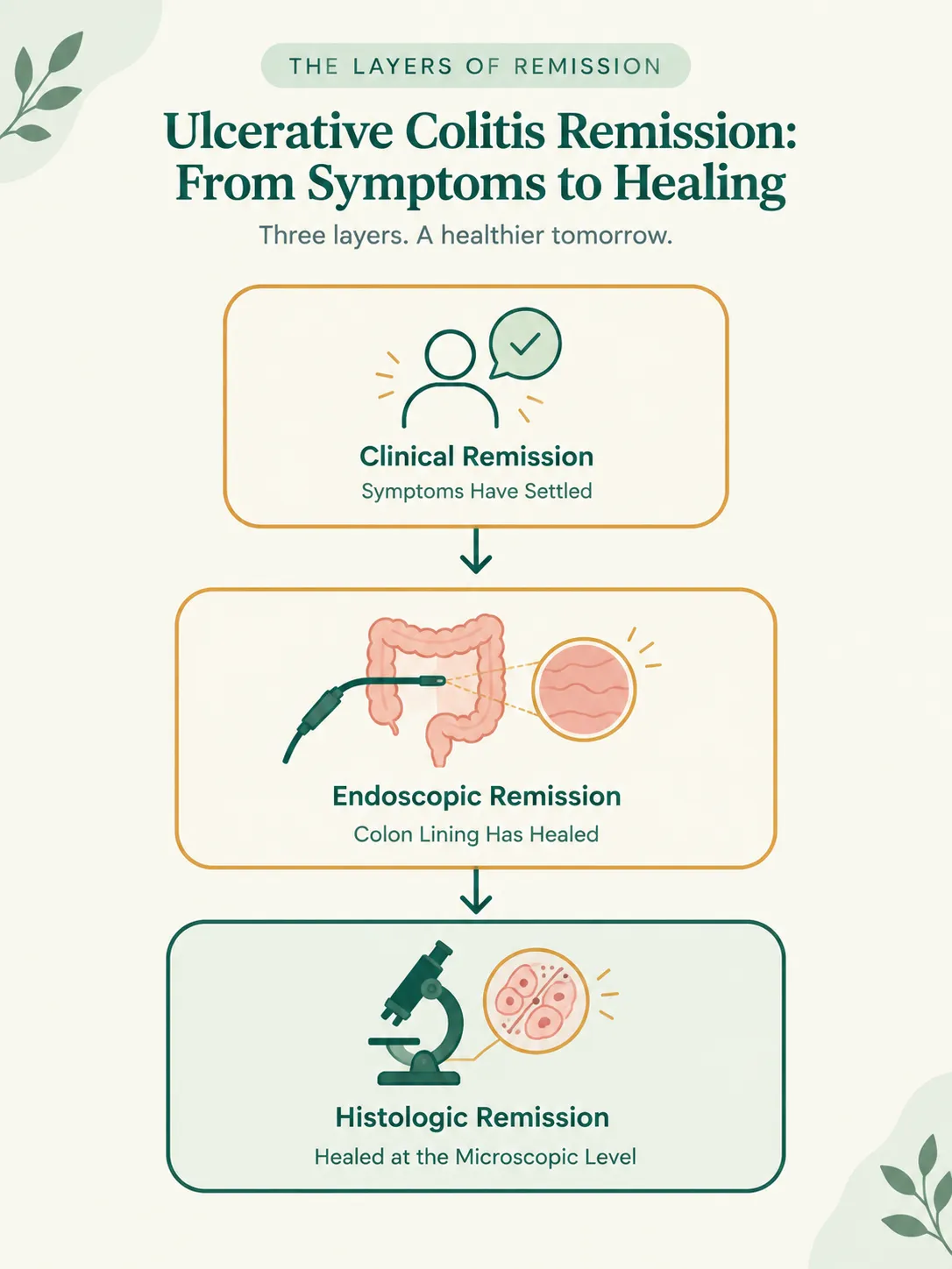 Can Ulcerative Colitis Go Into Remission - Dr Ksheetij Kothari Educational poster 'Red Flags' showing when to call your doctor, listing fever ≥100°F, shakes, heavy bleeding, can't urinate, and increasing pain.