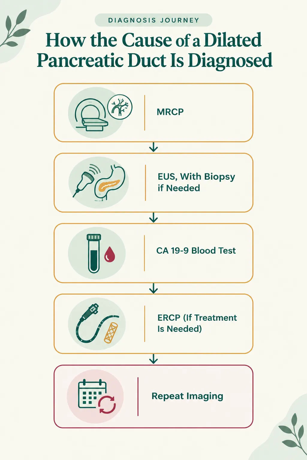 Flowchart titled Diagnosis Journey showing steps: MRCP, EUS with biopsy if needed, CA 19-9 blood test, ERCP if treatment is needed, then Repeat Imaging with arrows between steps.